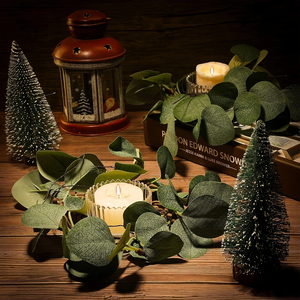 Decorative Eucalyptus Candle Rings — Set of 6