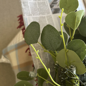 20" All-Weather Eucalyptus Wreath review photo